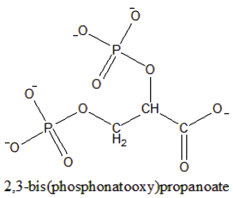 2,3-二磷酸甘油酸