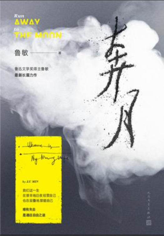 奔月(魯敏所著長篇小說)