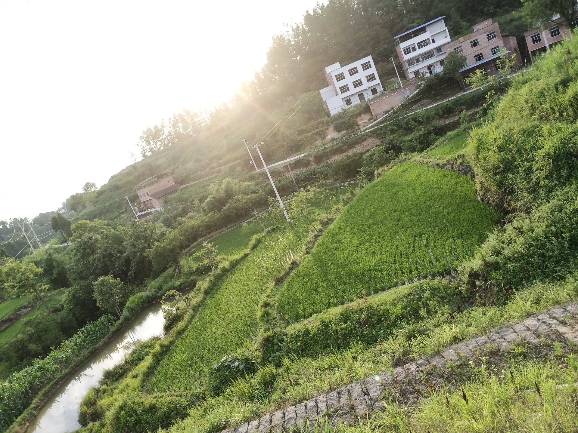 花屋村