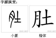 字源演變