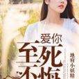 愛你至死不悔(地府小妖精著網路小說)