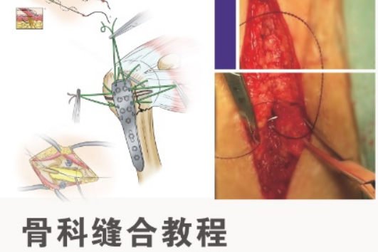 骨科縫合教程（第2版）