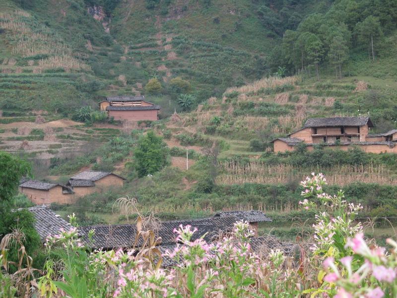 谷田村(雲南省麗江市華坪縣中心鎮下轄村)