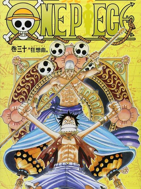 ONE PIECE 30