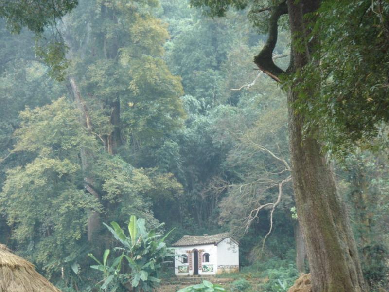 山白老寨村