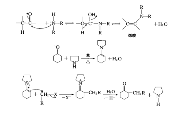 環己酮與四氫吡咯的反應