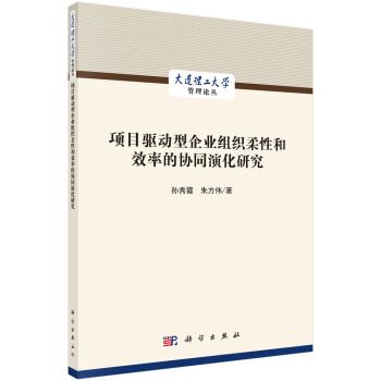 項目驅動型企業組織柔性和效率的協同演化研究