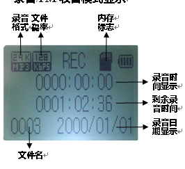 聖經播放器