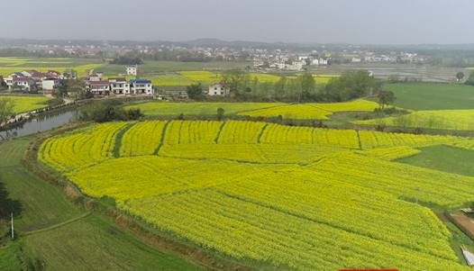 白果鎮(四川省達州市萬源市下轄鎮)