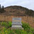 普安銅鼓山遺址