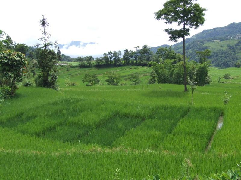 百勝上寨村