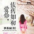 愛你，依舊如初(小說)