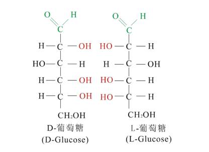 生物化學(自然科學中的交叉學科)