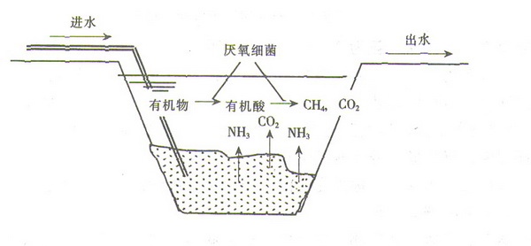 厭氣塘作用機理示意圖