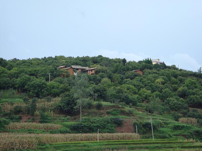 白土坡村(雲南尋甸縣柯渡鎮下轄村)