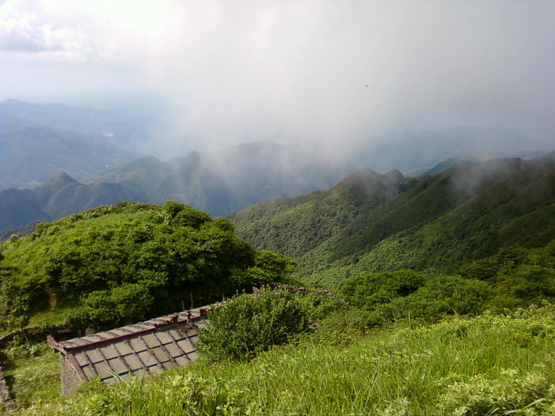 太和仙