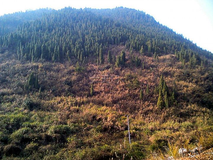 佛子山(湖北省天門市下轄地區)