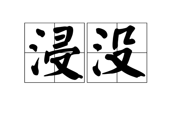 浸沒(詞語)