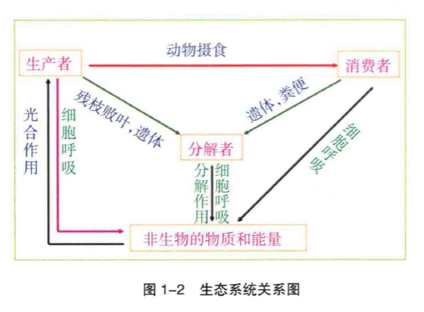 次級生產者