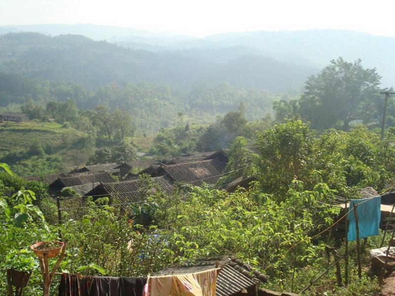 桃子樹自然村(雲南普洱景谷縣民樂鎮桃子樹村桃子樹自然村)