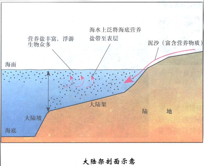 大陸架