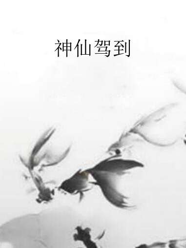 神仙駕到(流年一度著網路小說)