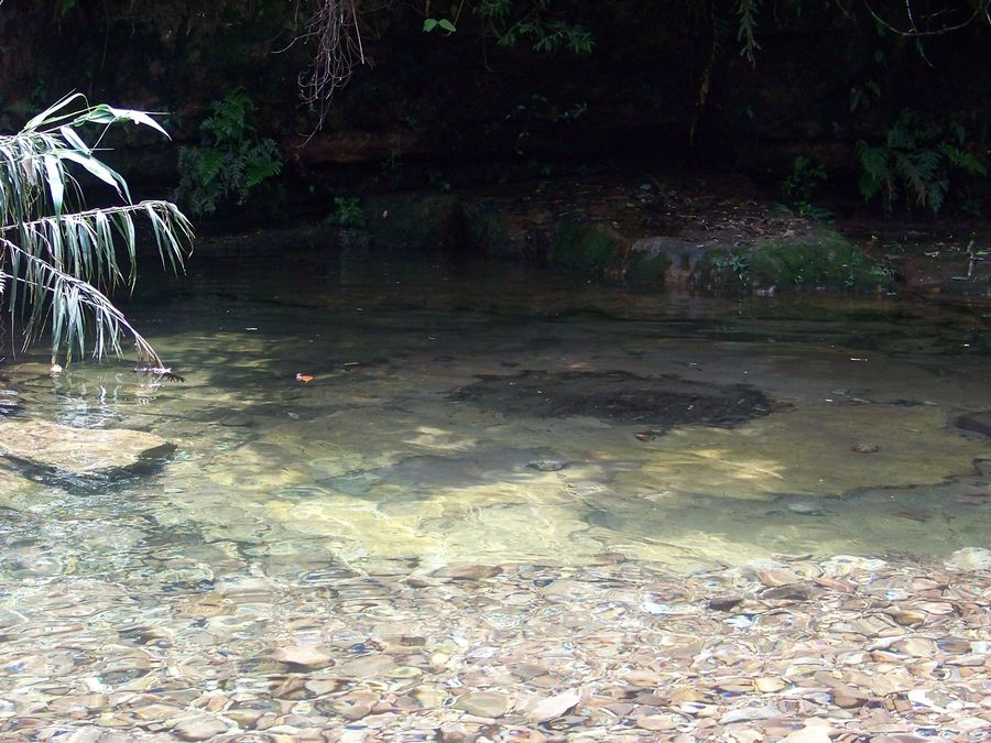 紫荊河(珠江水系西江支流大湟江的支流)