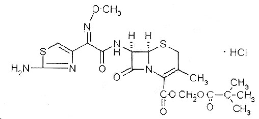 鹽酸頭孢他美酯片