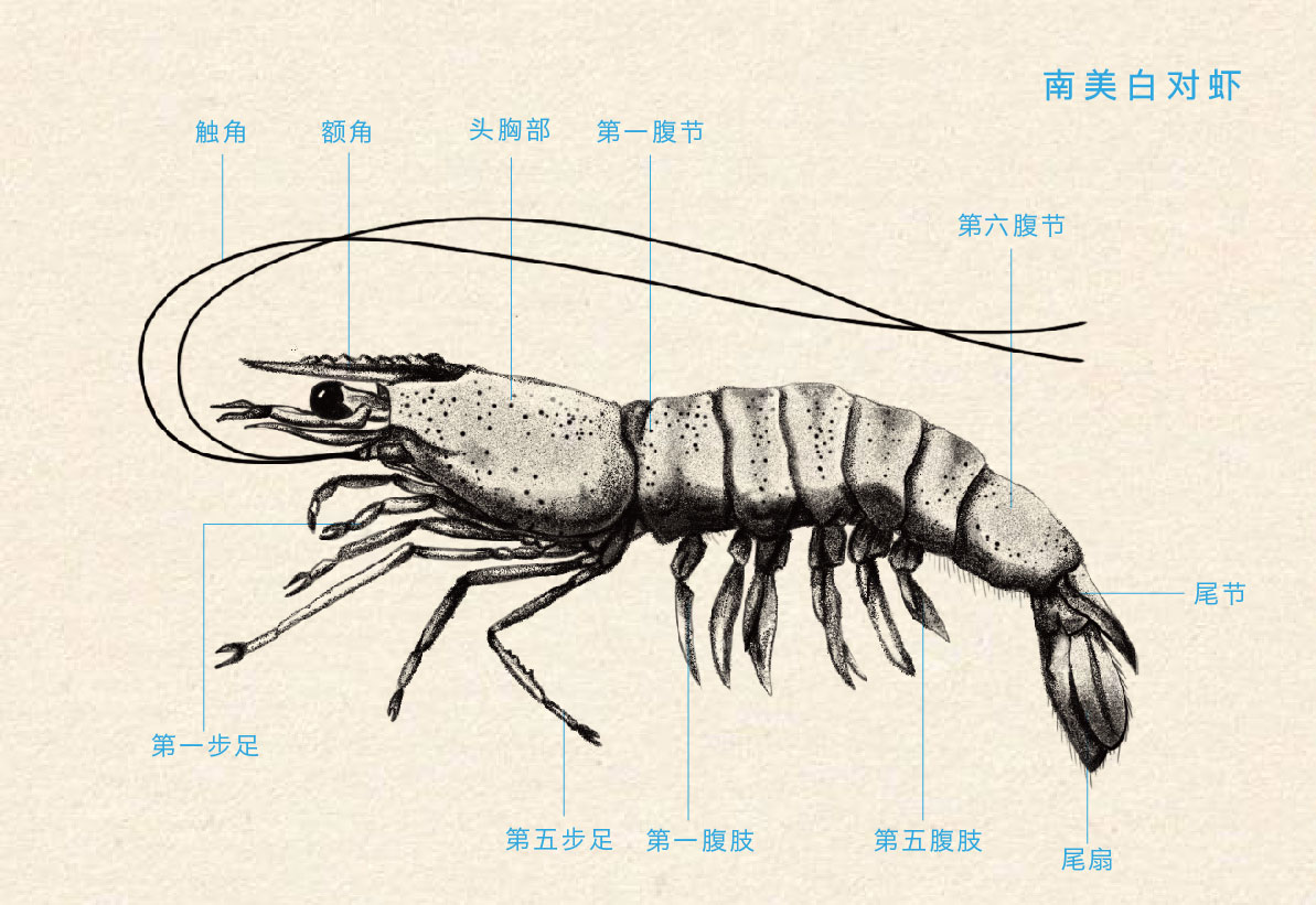 數說科學月度榜單——2020·7