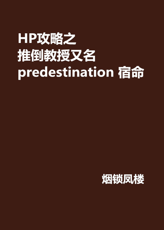 HP攻略之推倒教授又名 predestination 宿命