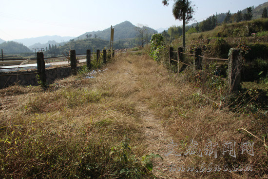 渡南橋