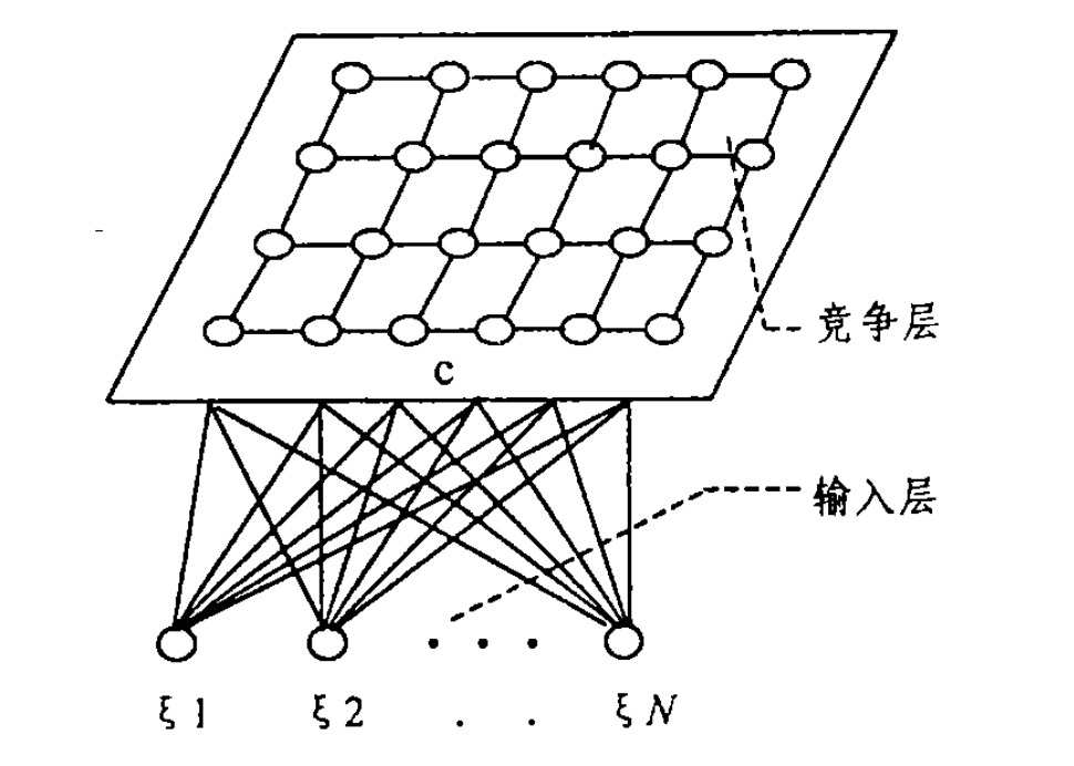 SOM網路的典型拓撲結構