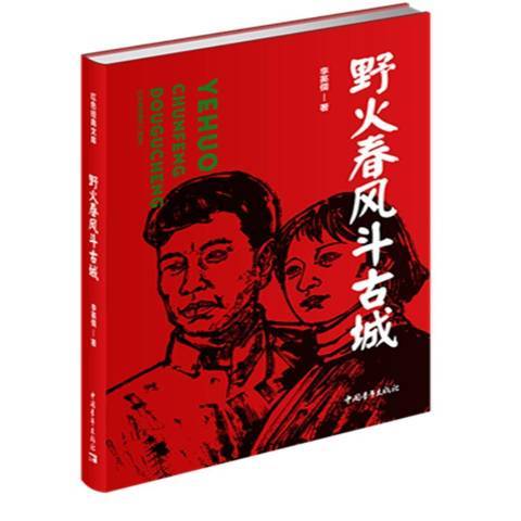 野火春風斗古城(2020年中國青年出版社出版的圖書)