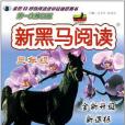 新黑馬閱讀(2011年吉林大學出版社出版的圖書)