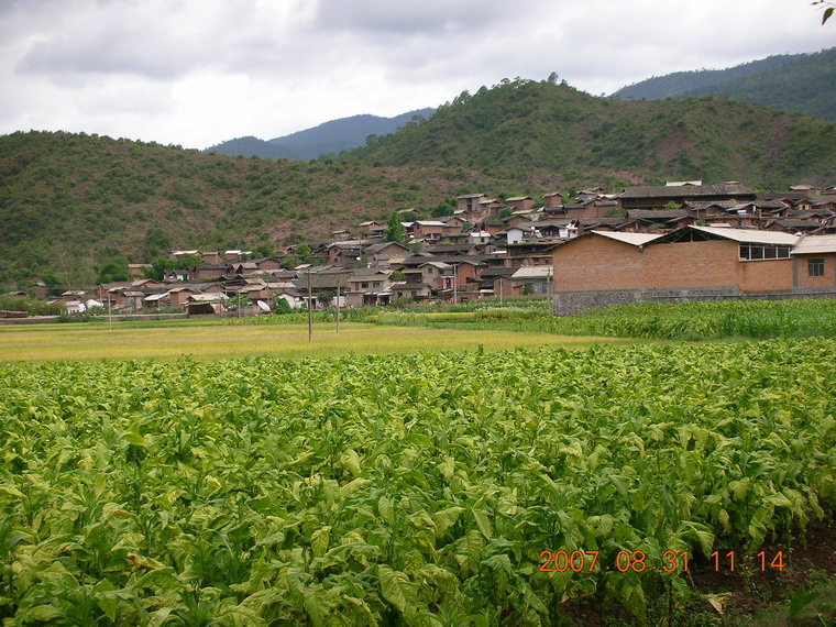 加禾村(貴州劍川縣柳川鎮下轄村)