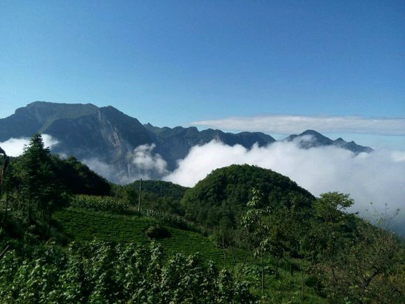 牛莊鄉(湖北五峯縣下轄鄉)