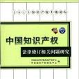 中國智慧財產權法律修訂相關問題研究