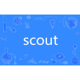 scout(英文單詞)