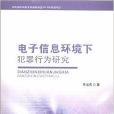 電子信息環境下犯罪行為研究