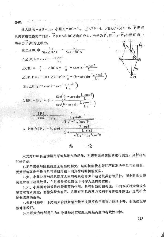 羚羊腿