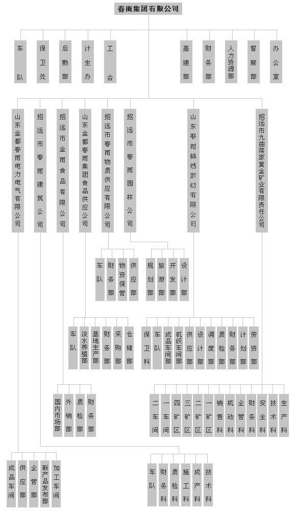 春雨集團組織構架