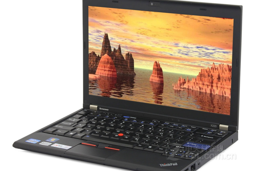 ThinkPad X220(4290A21)