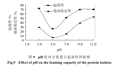 南瓜籽蛋白