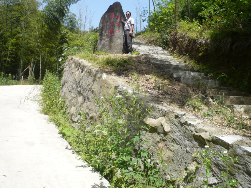 金雞山村