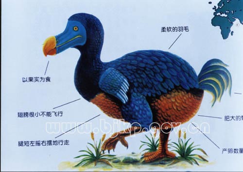 渡渡鳥(滅絕鳥類)