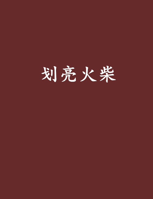 劃亮火柴(馮小追創作的網路小說)