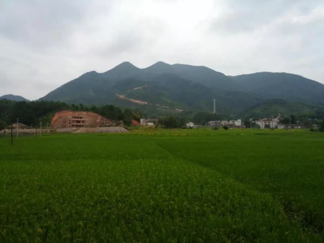 黃沙村(福建南平松谿縣鄭墩鎮黃沙村)