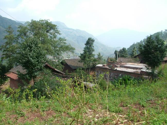 王家寨村(雲南宣威市楊柳鄉下轄村)