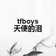 tfboys天使的淚