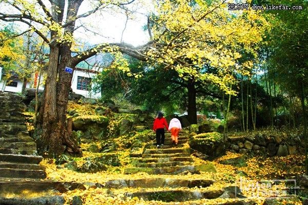 永里村